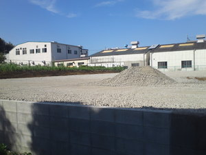 SN3T3736.jpg