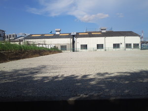 SN3T3737.jpg