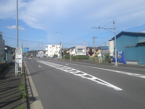 SN3T3741.jpg