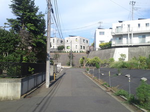 SN3T3752.jpg