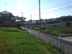 SN3T3755.jpg