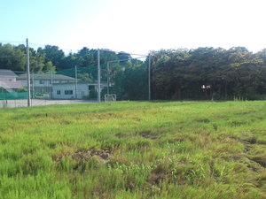 SN3T3756.jpg