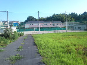 SN3T3757.jpg