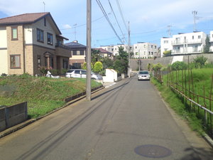 SN3T3760.jpg
