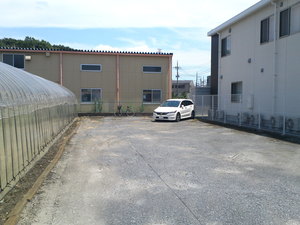 SN3T3766.jpg