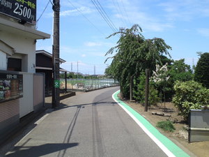 SN3T3773.jpg