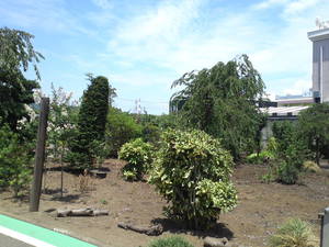 SN3T3774.jpg