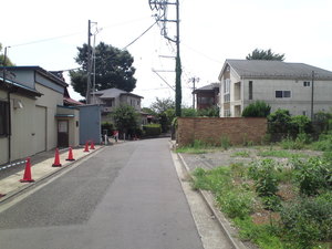 SN3T3775.jpg