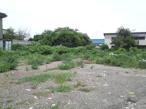 SN3T3779.jpg