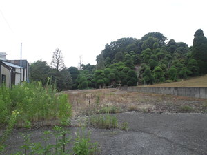 SN3T3785.jpg