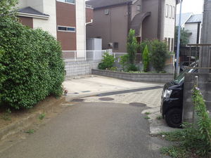 SN3T3786.jpg