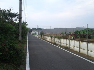 SN3T3898.jpg