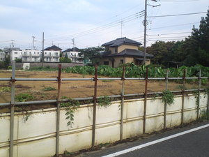 SN3T3901.jpg