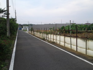 SN3T3902.jpg